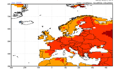 CFSv2 forecast monthly: Temperatur-Abweichung Januar 2024 (2m) / Stand: 25. Juli 2024