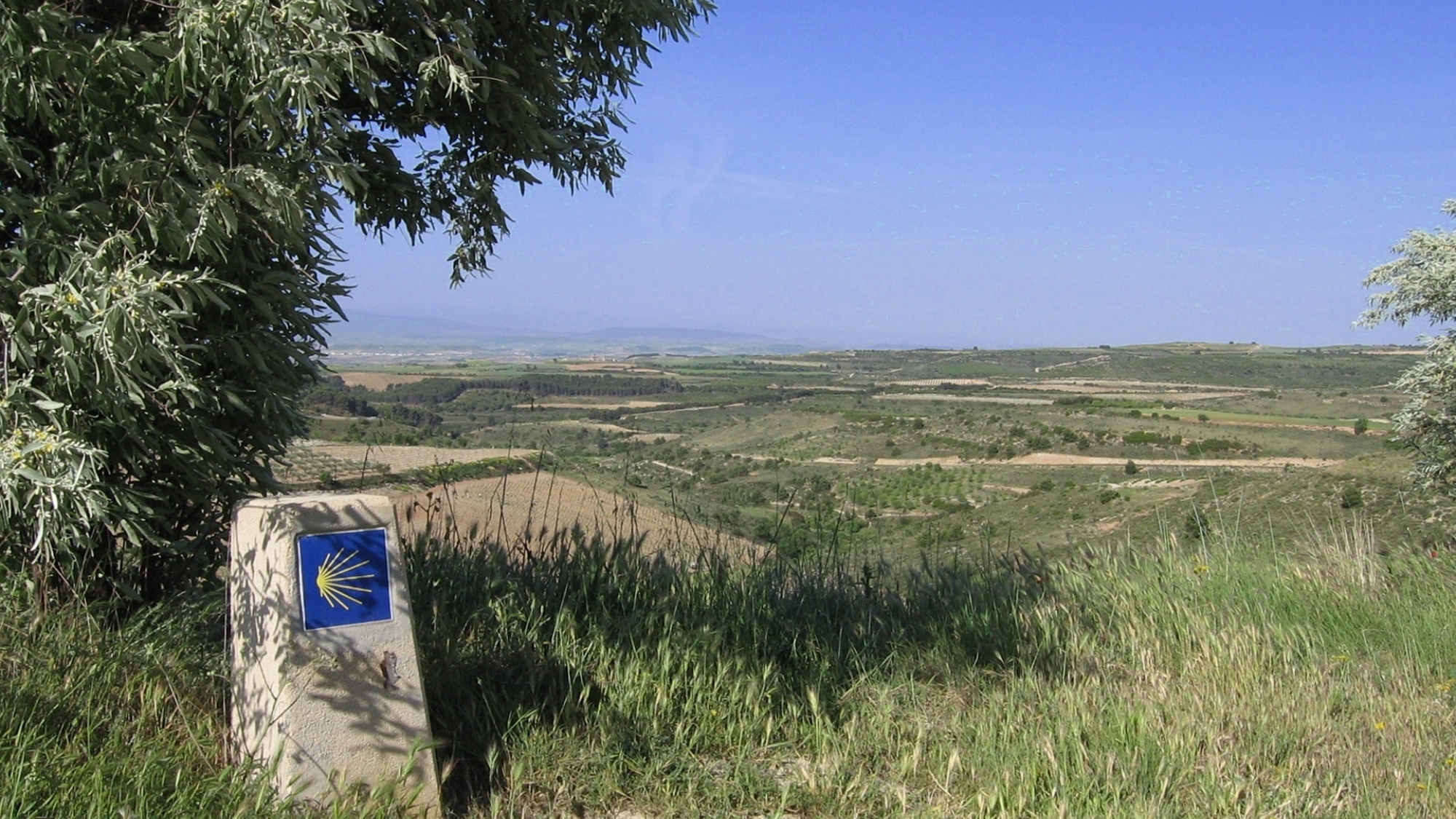 Die Jakobsmuschel führt euch auf dem Jakobsweg durch wunderschöne Landschaften