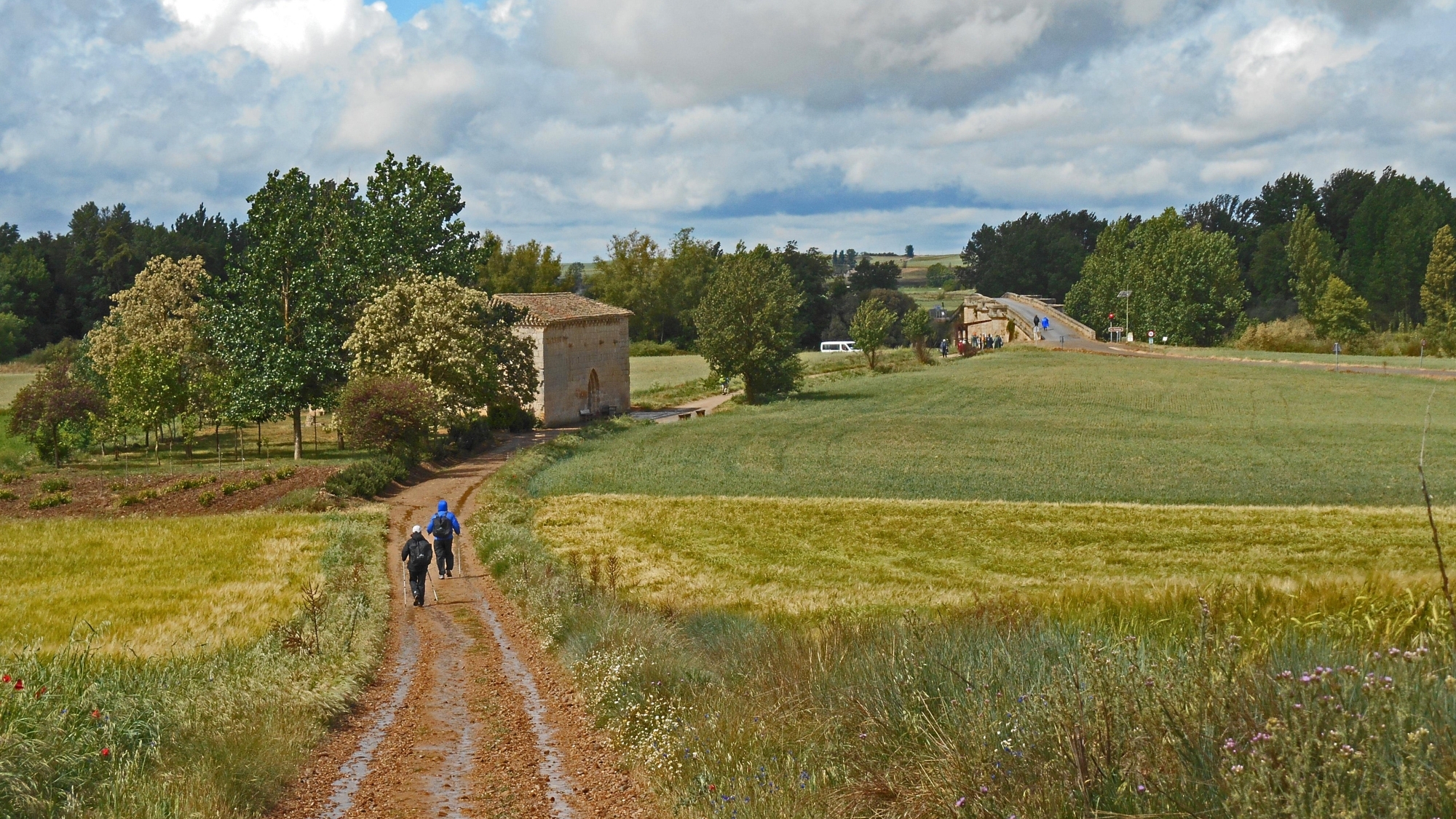 Die Jakobswege sind teils asphaltiert, führen aber auch oft auf schmaleren Wegen durch die Natur