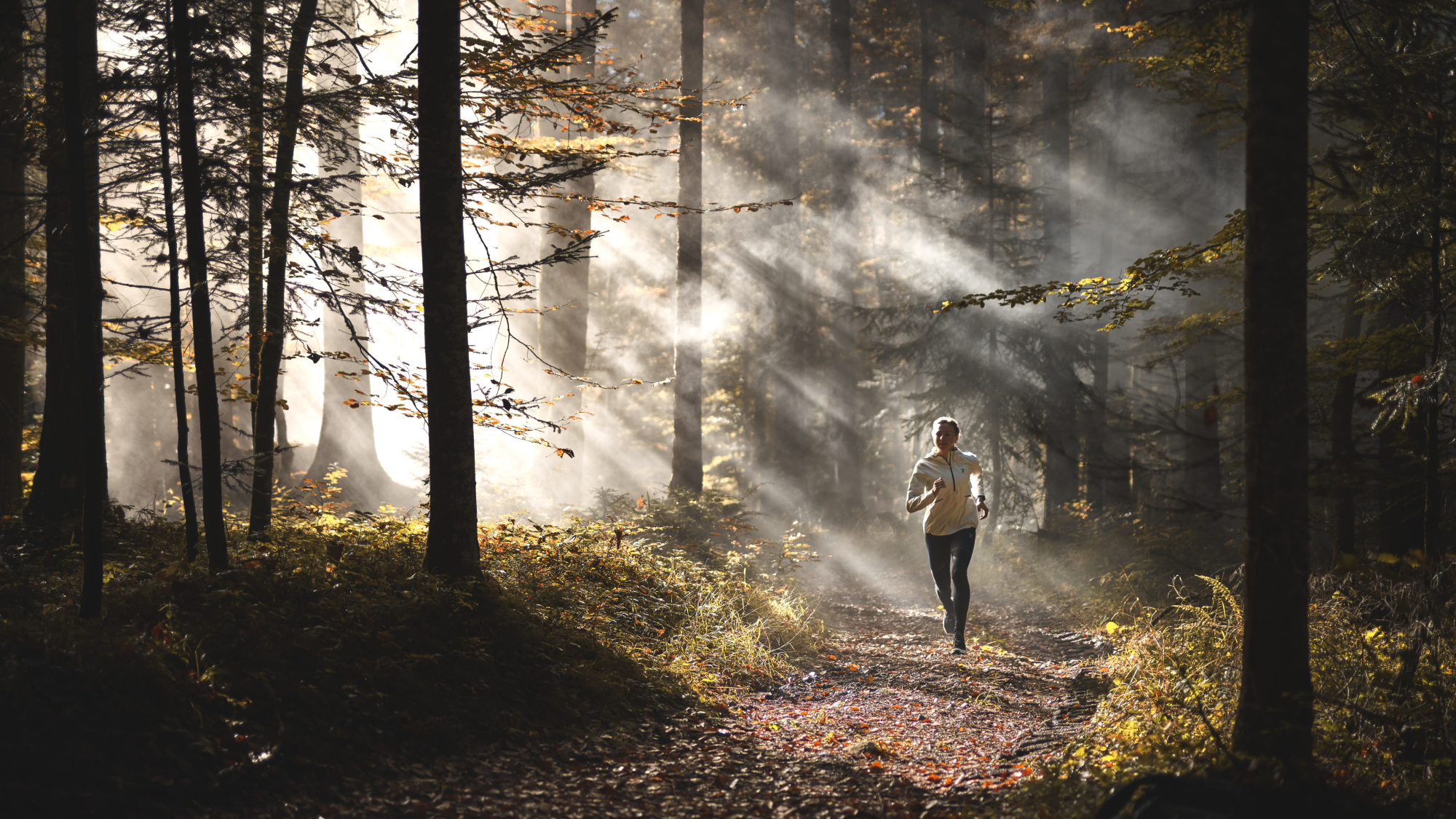 Trailrunner im Wald am Wilden Kaiser