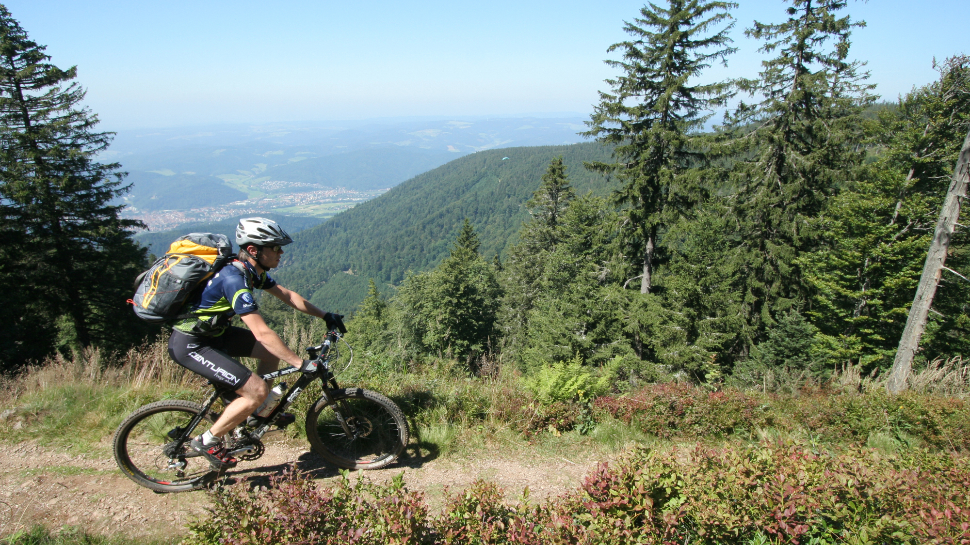 Mountainbiker im Schwarzwald