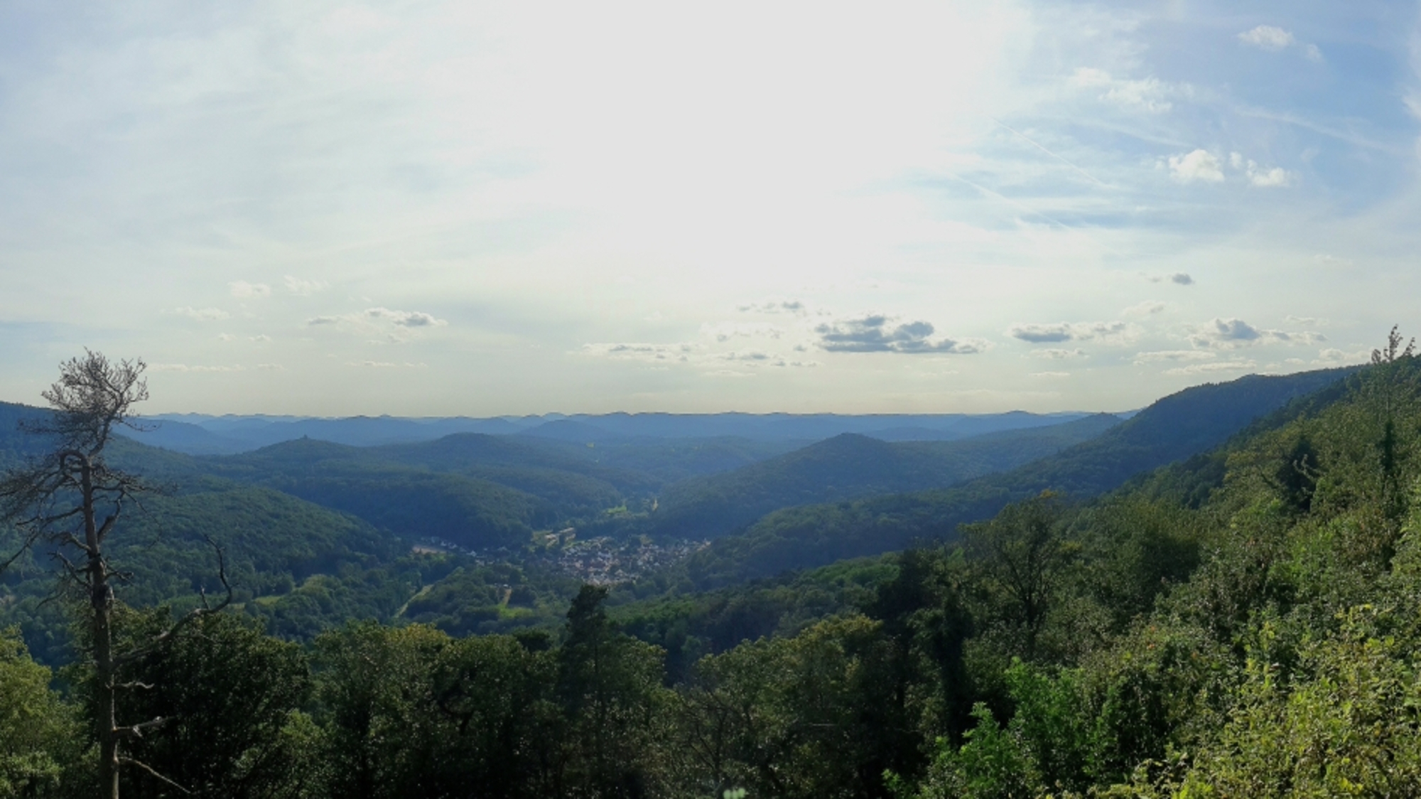 Ausblick von der Madenburg im Pfälzer Wald