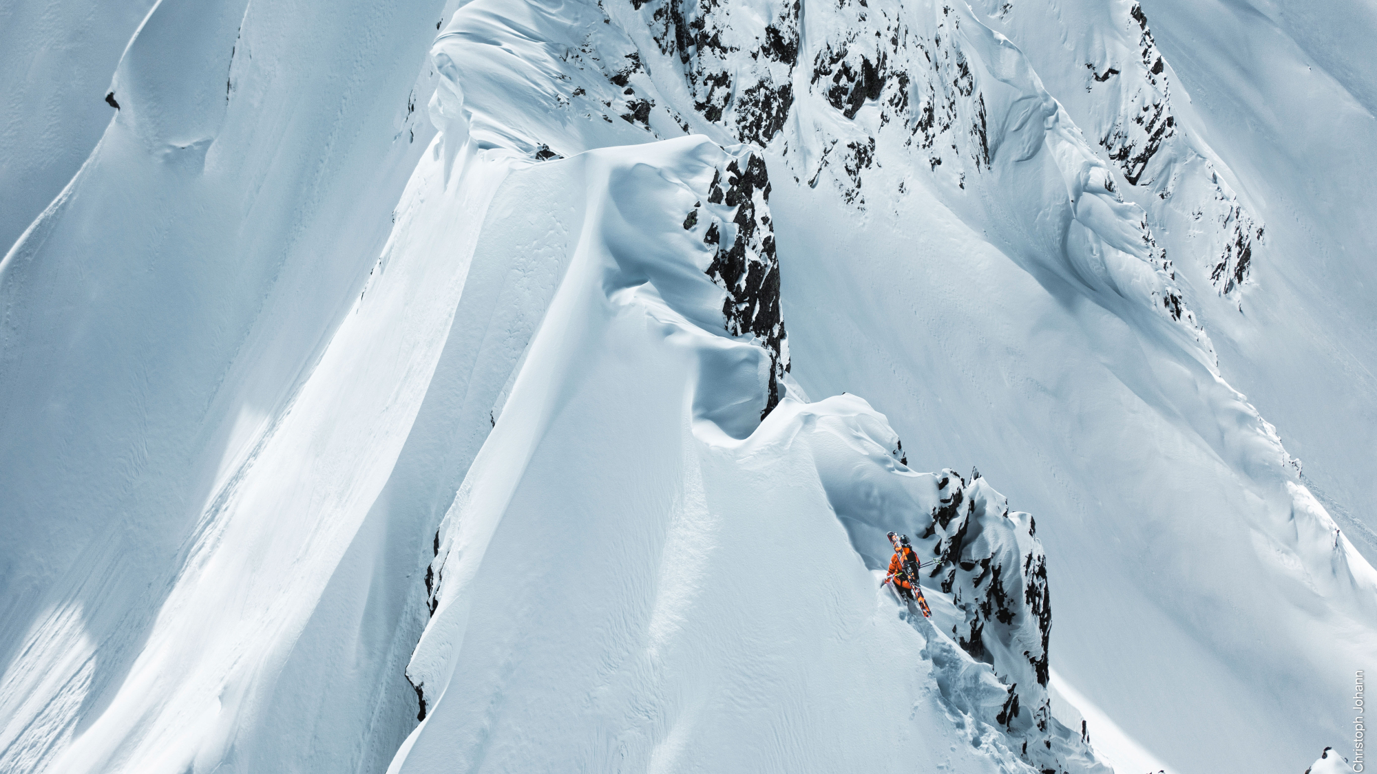 Filmbilder EOFT 2024: Backyard