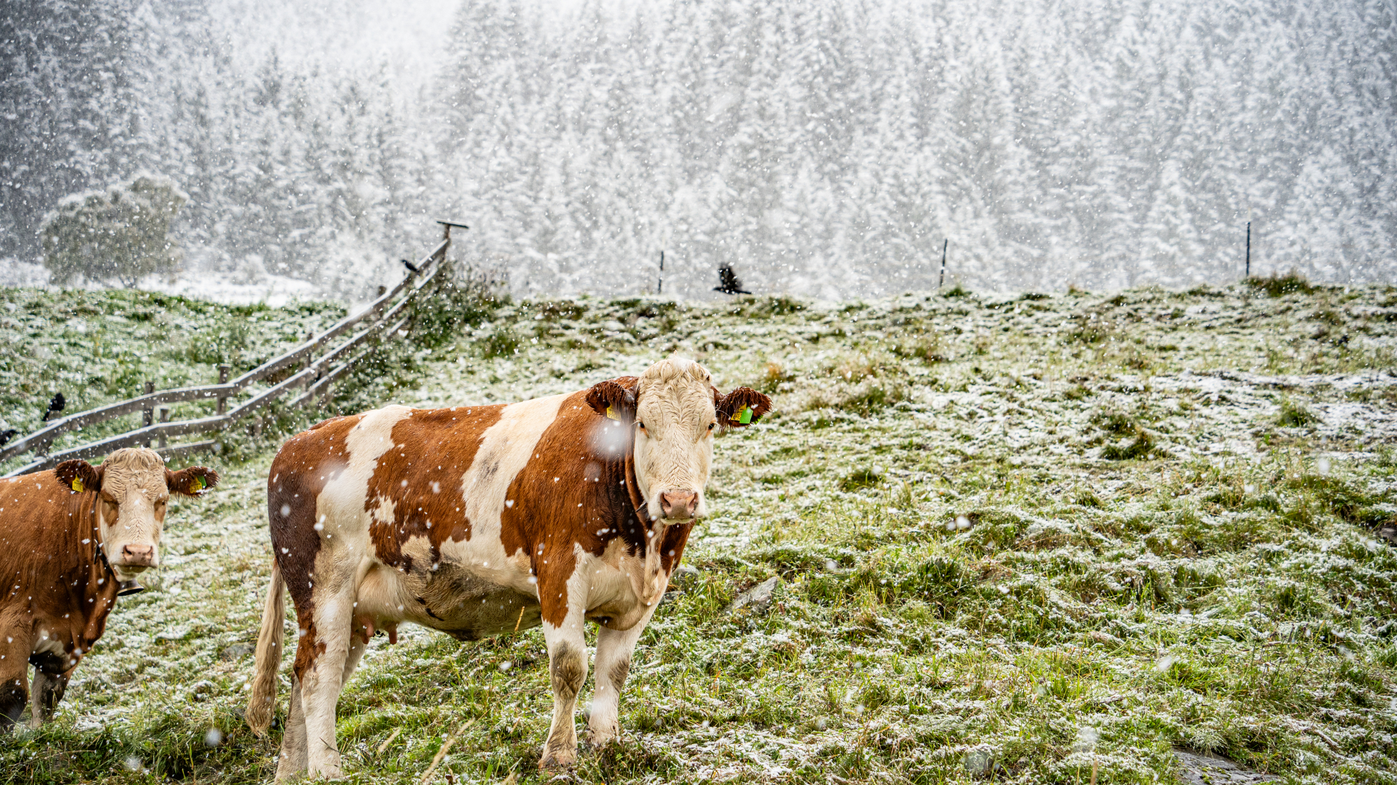 Erster Schnee in Ischgl (September 2024)