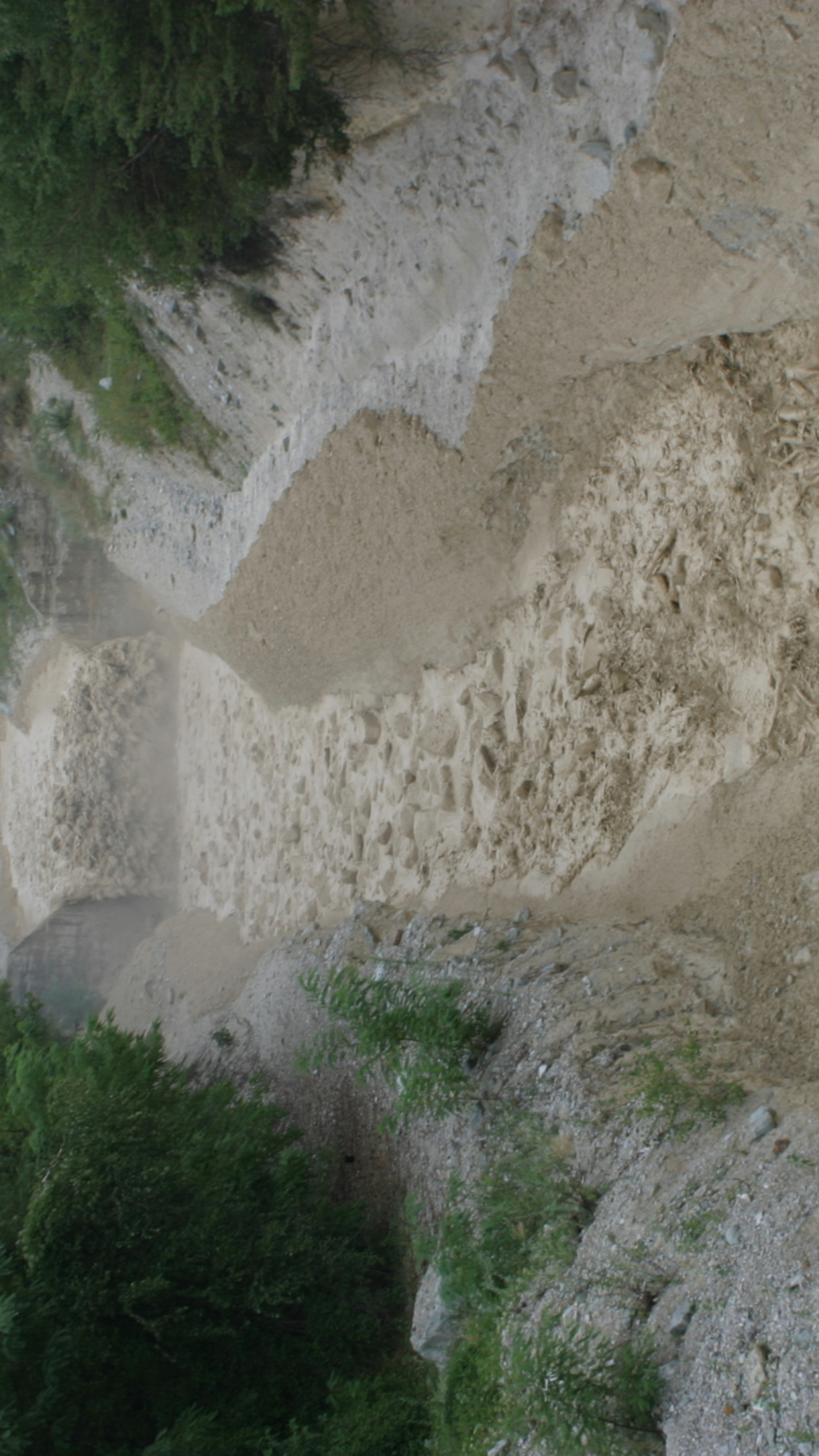 Murgänge wie dieser könnten künftig auch in Gebieten auftreten, in denen es bislang keine Murgänge gab.