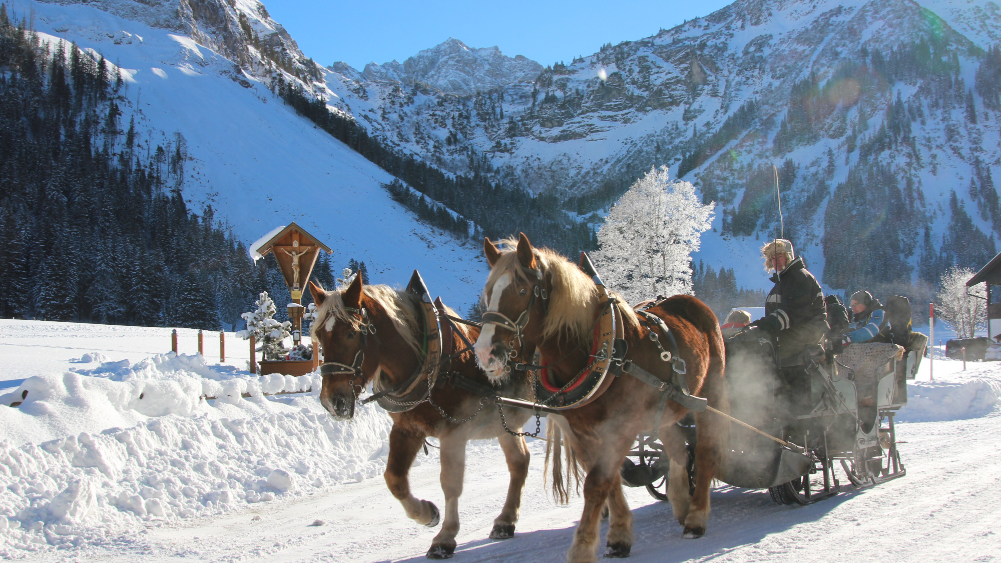 Kutschenfahrten Tannheimer Tal