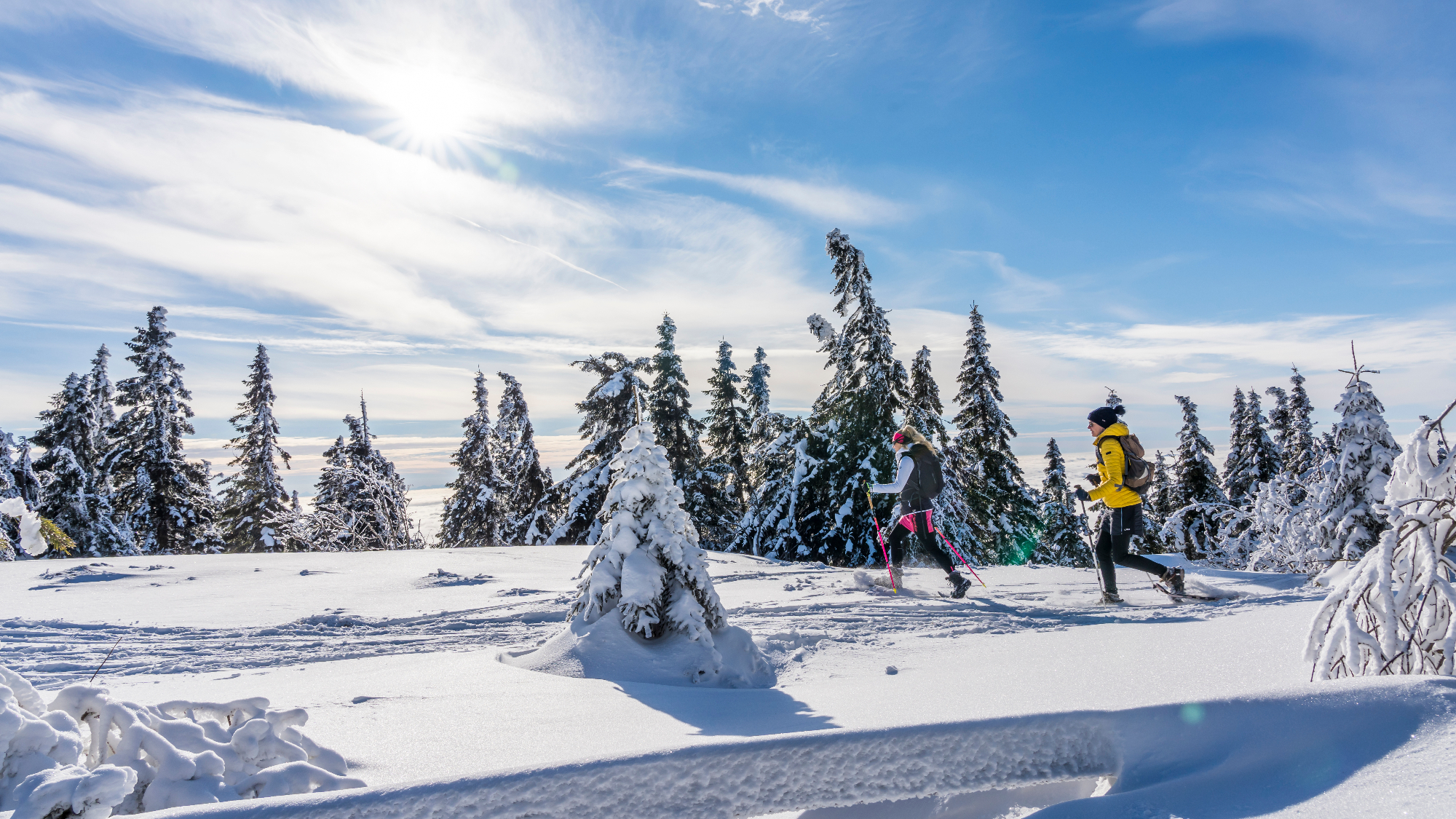 Winterwandern im Bayerischen Wald