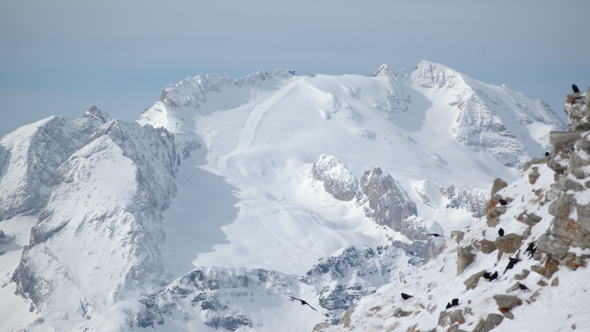 Blick zum obersten Abschnitt der „La Bellunese“ – einfach genial!