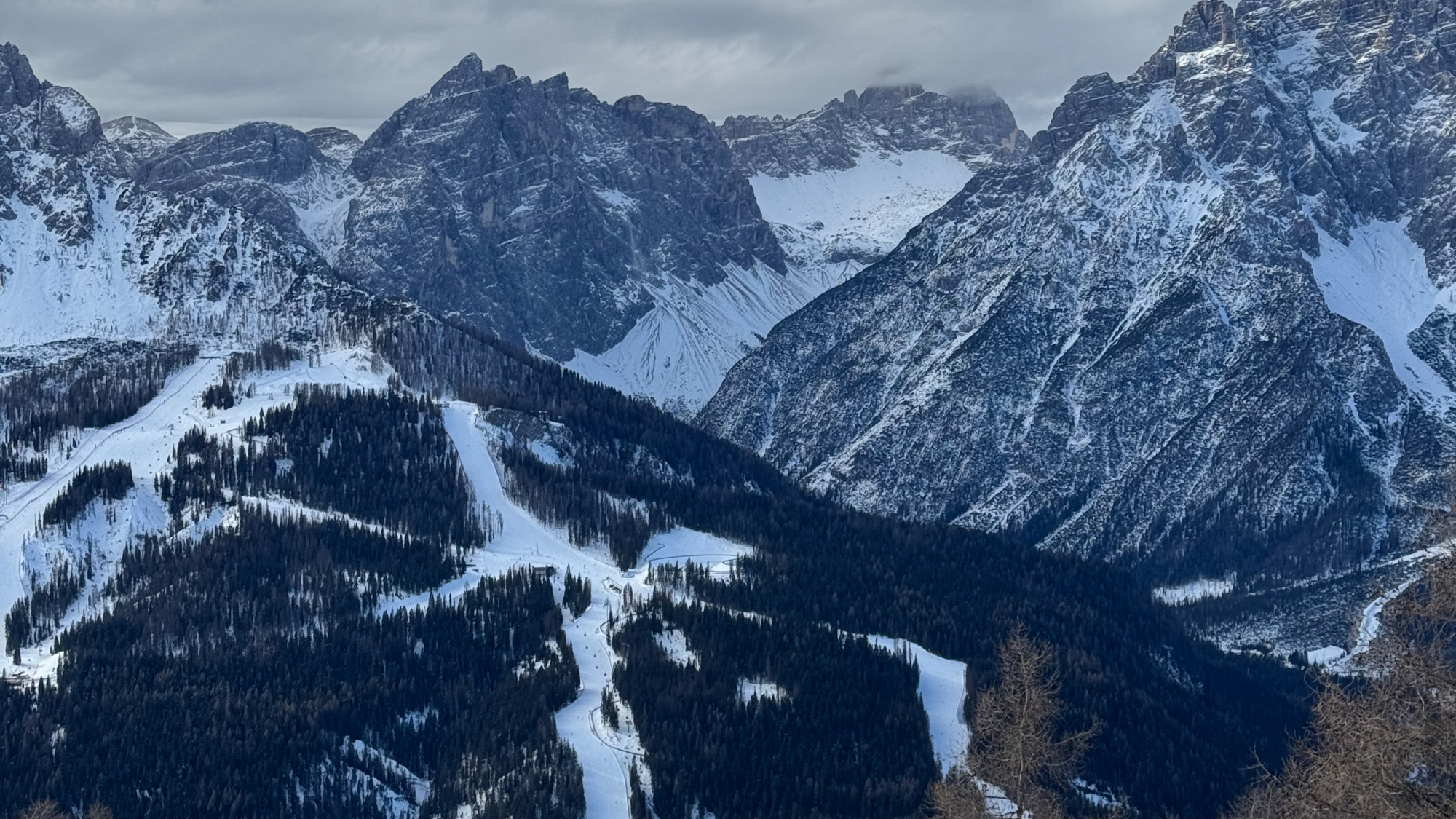 Lange Abfahrten ziehen sich im Skigebiet durch ruhige Nadelwälder