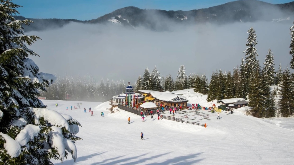 Franz Alm in Wagrain