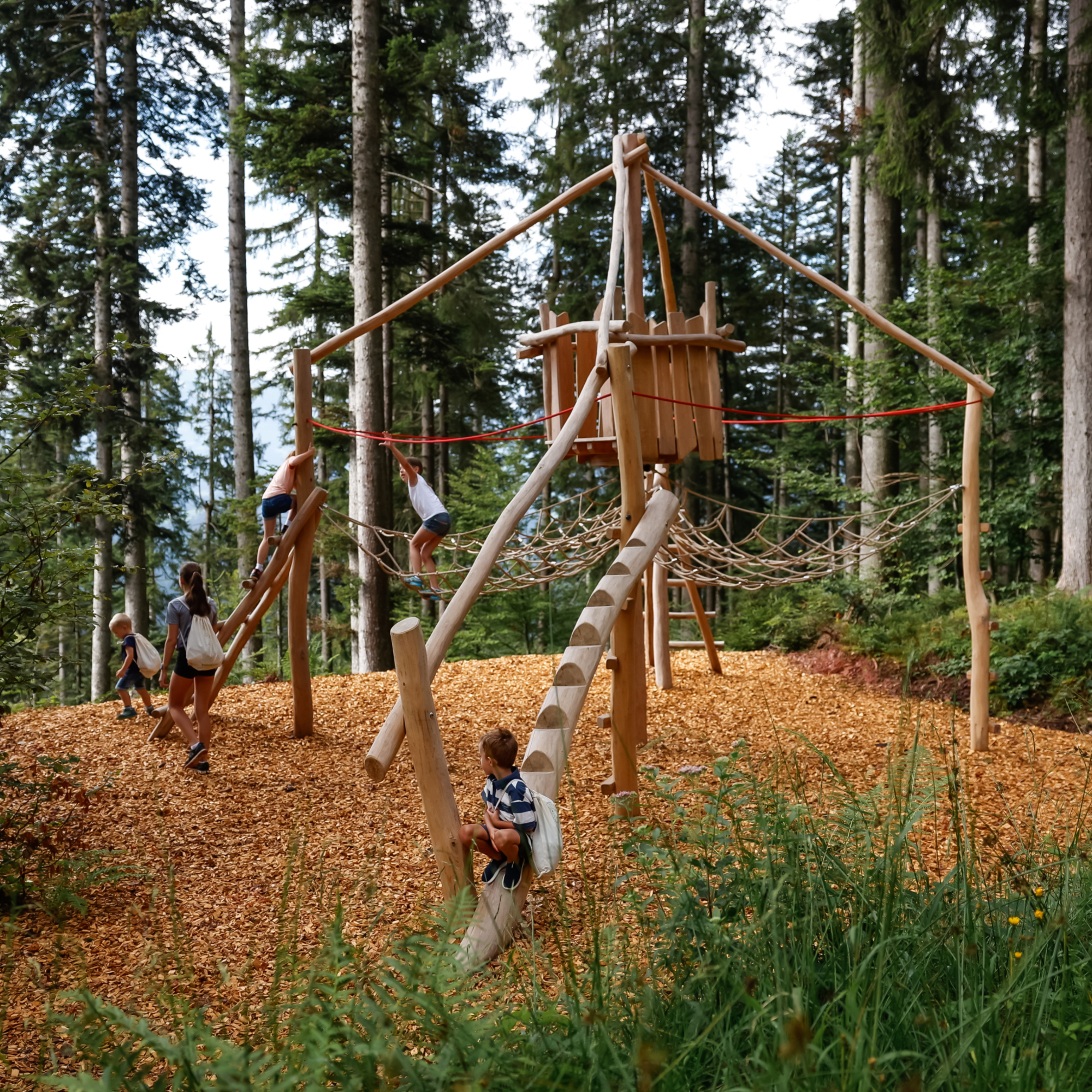 Moor and More in Going