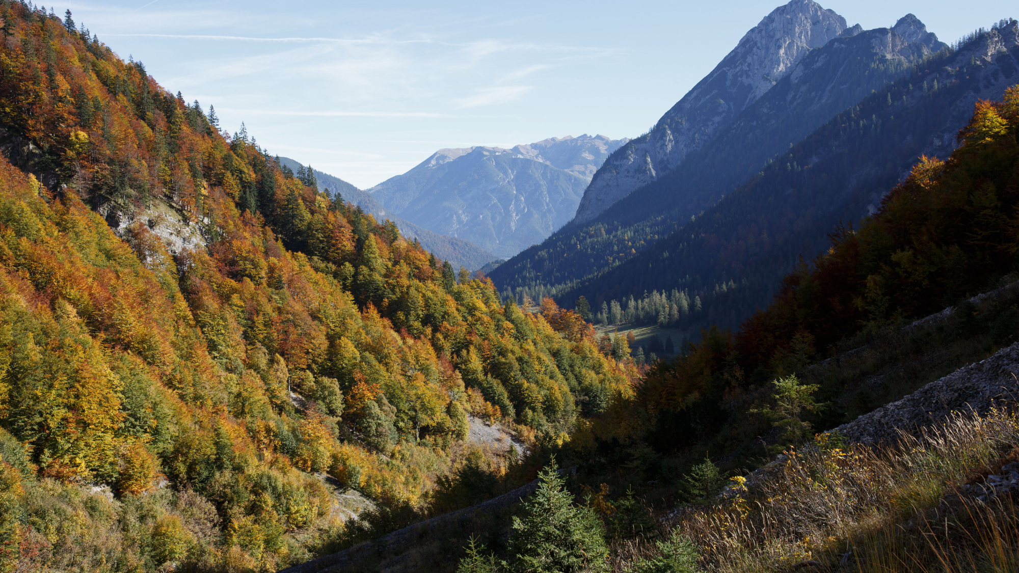 Gramai Alm, Blick zum Sonnjoch