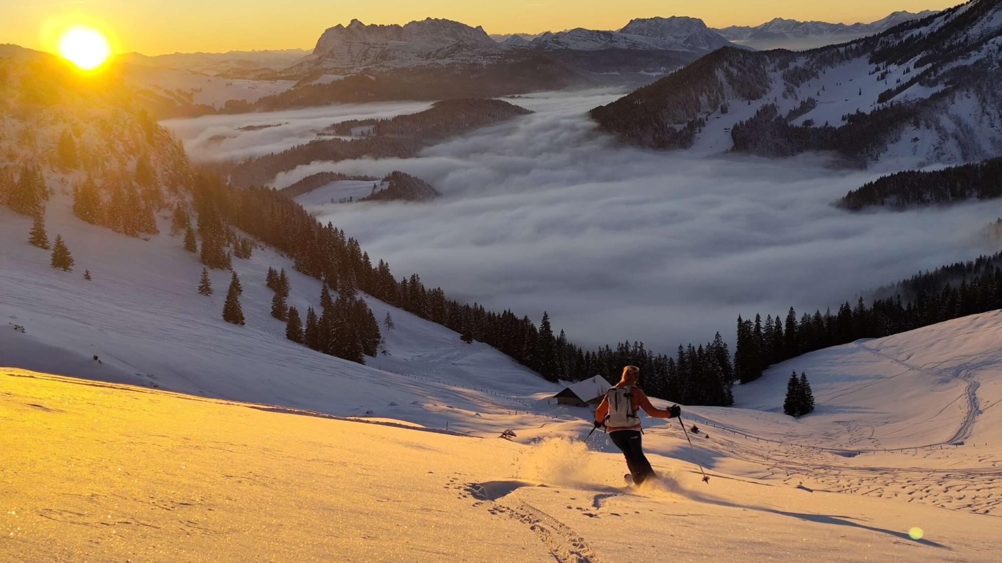 Impressionen aus dem Winter 2024/25