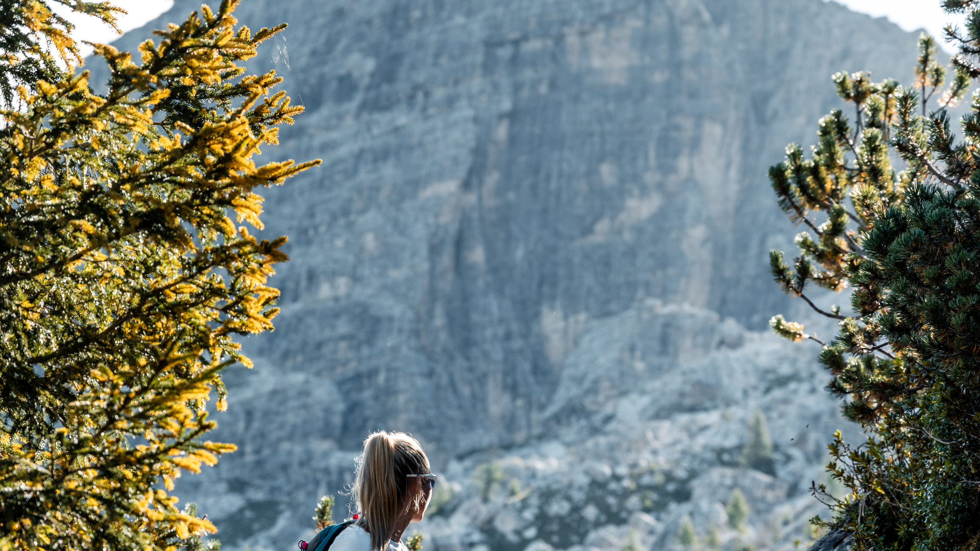 Giro del Rifugi Brenta