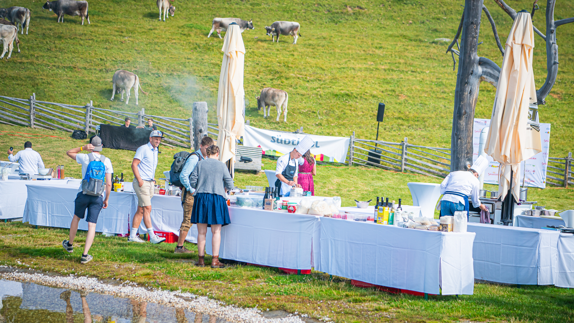 The Mountainchef Ultental