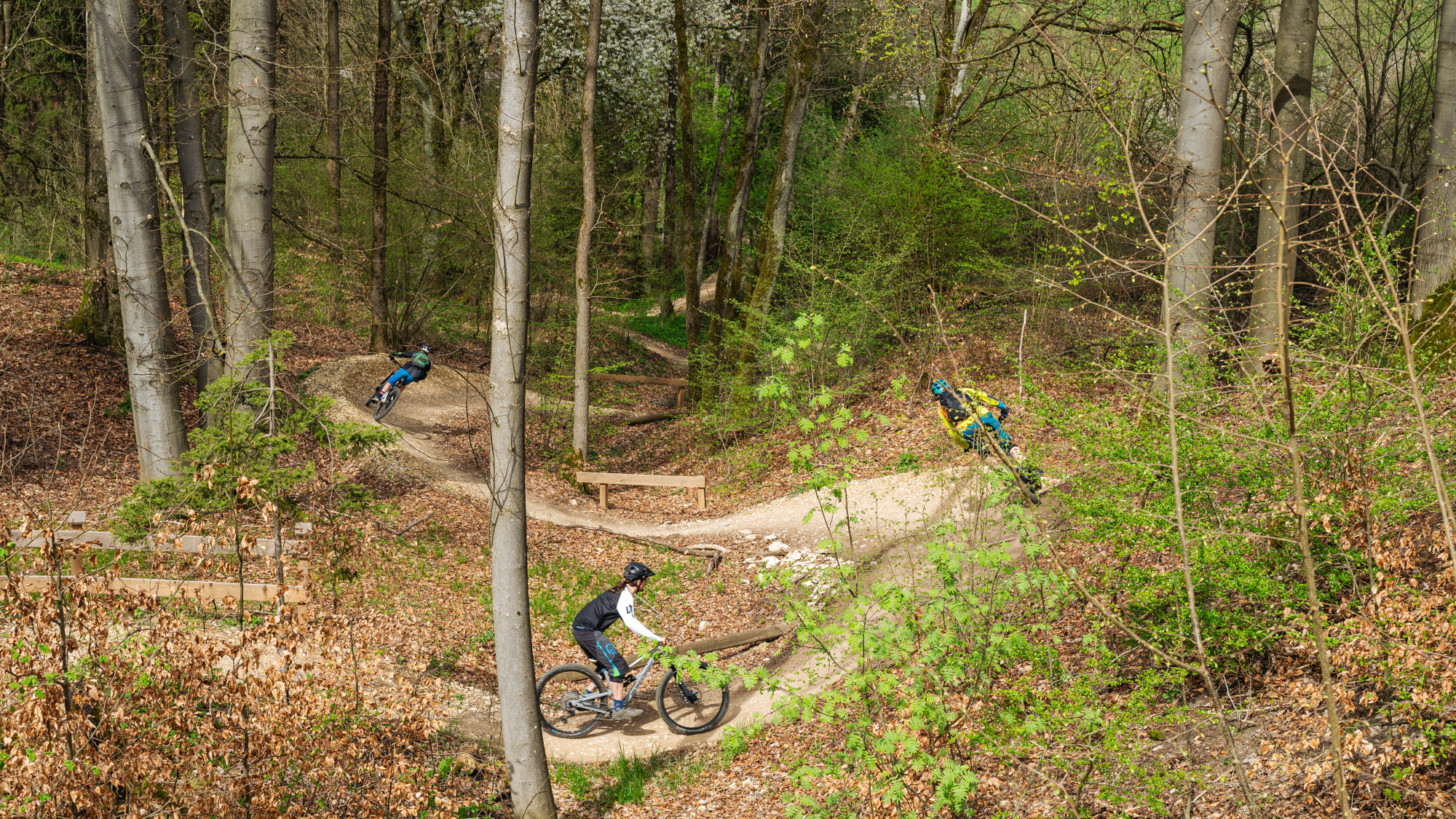 Biken auf den Jura-Trails in Neumarkt