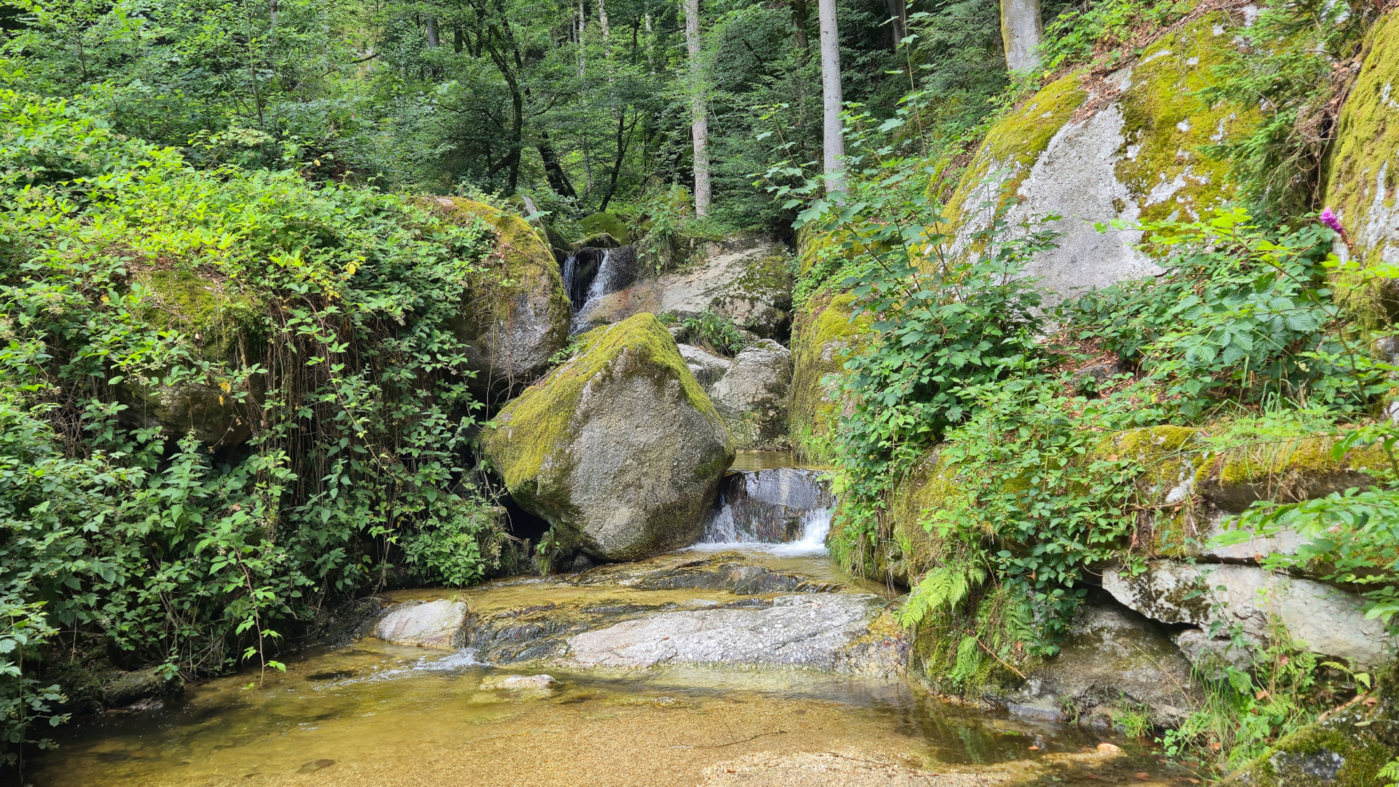 Niedrigwasser in der Wolfsschlucht