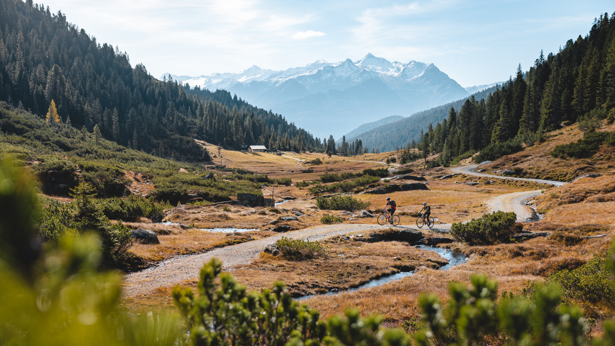 Mountainbiker auf Forstweg