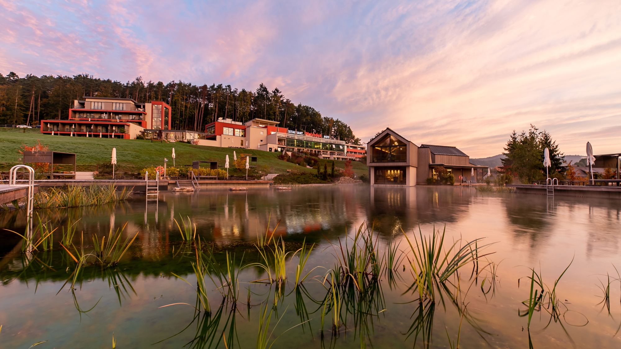 Naturteich des Pfalzblick Wald Spa Resort