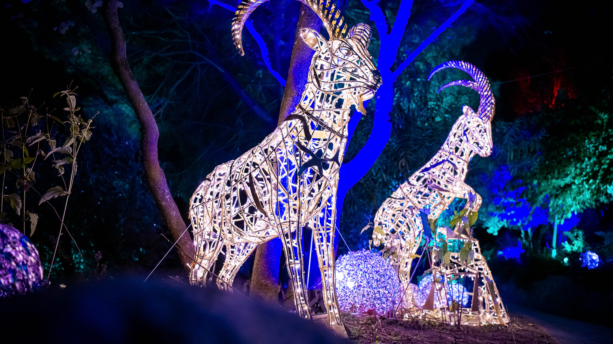 Lichtfiguren im Lumagica-Lichterpark 