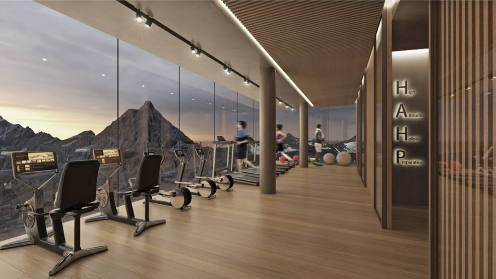 Visualisierung des Projekts "Cervino The One"