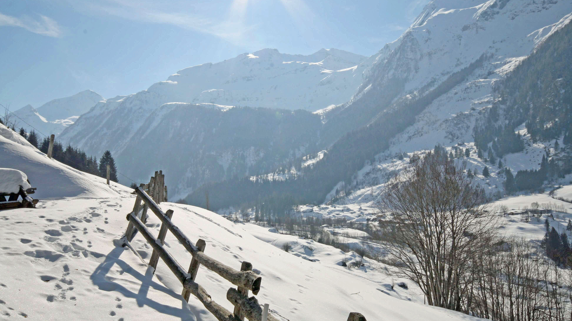 Ausblick vom Almliesl RAUR-521