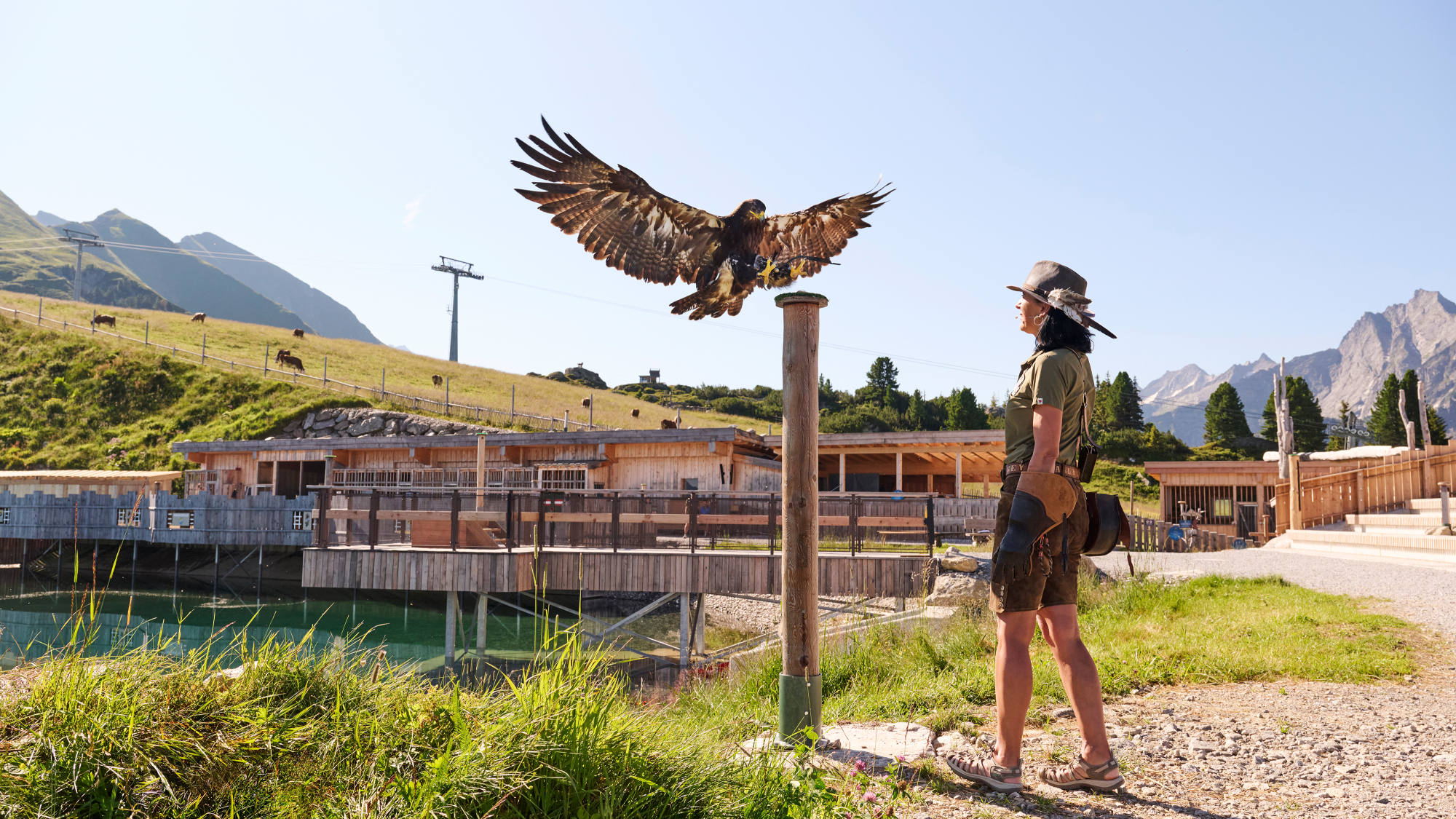 Adler Albert und Falknerin Waltraud auf der AdlerBühne