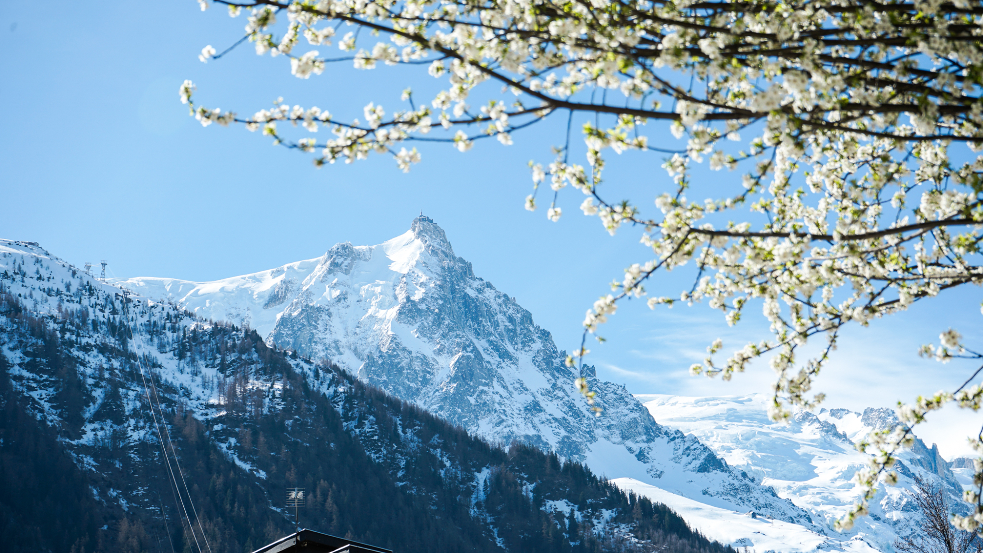 Ausblick auf das Mont-Blanc-Massiv von Chamonix