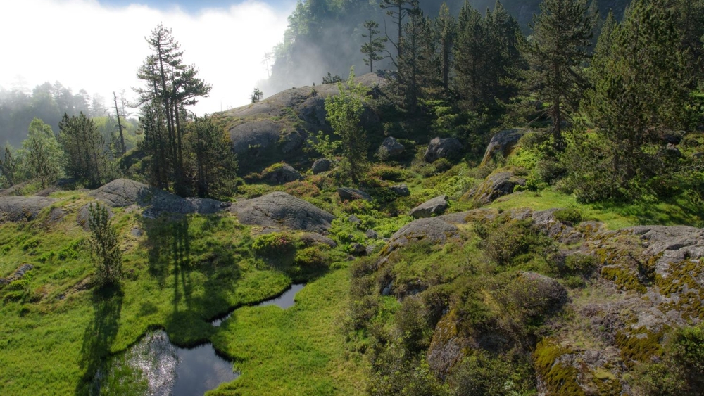 Nationalpark Pyrenäen