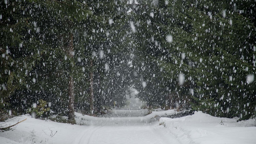 Dichten Schneefall gab es auch im Winter 2025/26, insgesamt blieb der Winter aber eher niederschlags- und schneearm.