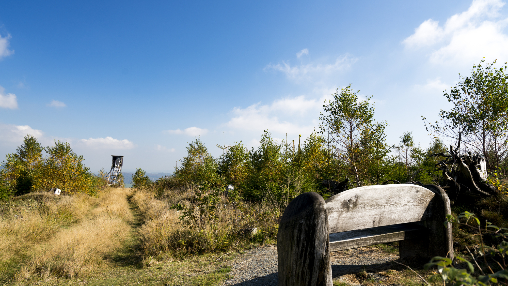 Wanderweg in Willingen
