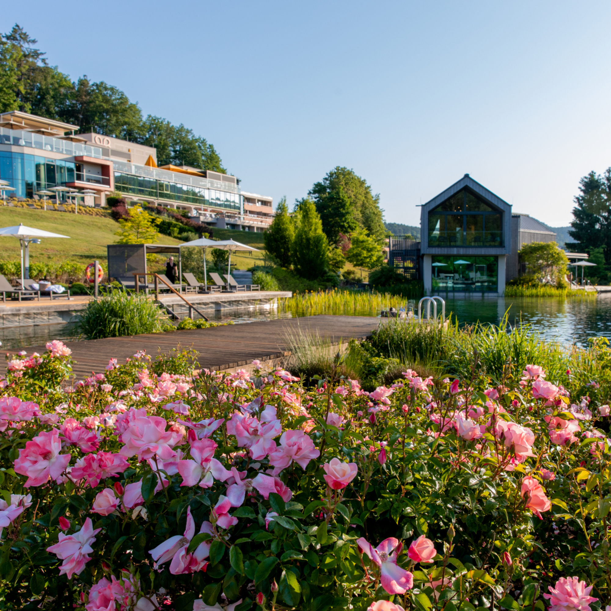 Außenansicht Pfalzblick Wald Spa Resort
