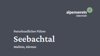 Artikelvorschaubild