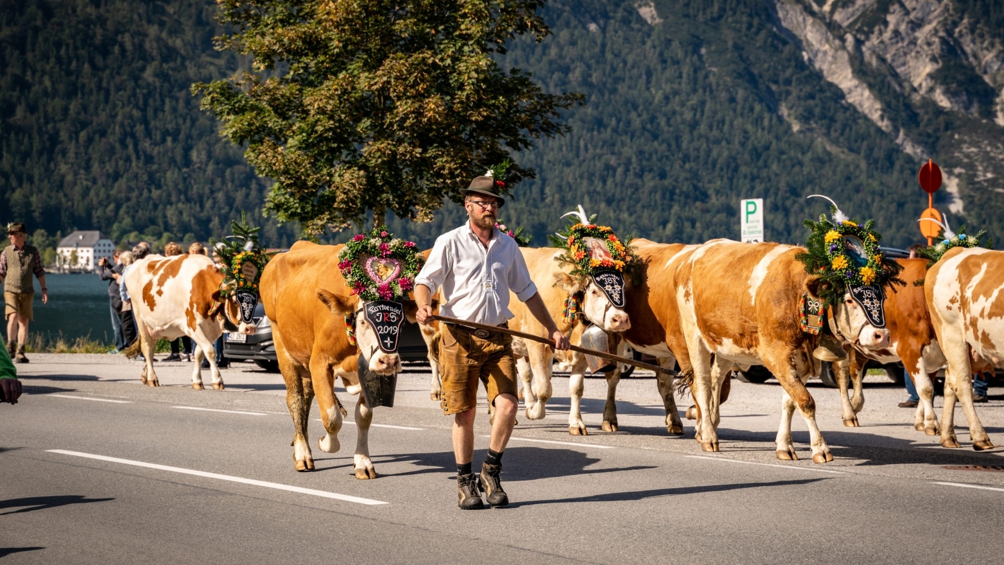 Almabtrieb am Achensee