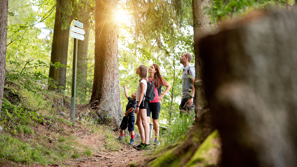 Das EURORANDO Wanderfest findet 2026 im Erzgebirge statt