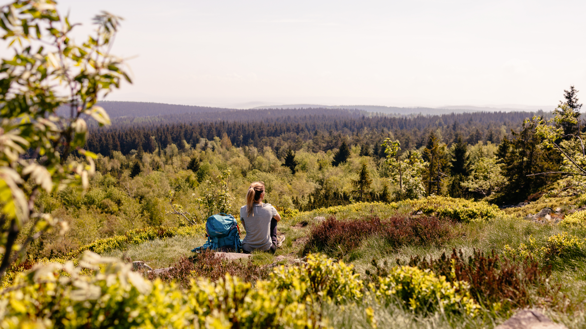 Ausblick auf dem Kammweg
