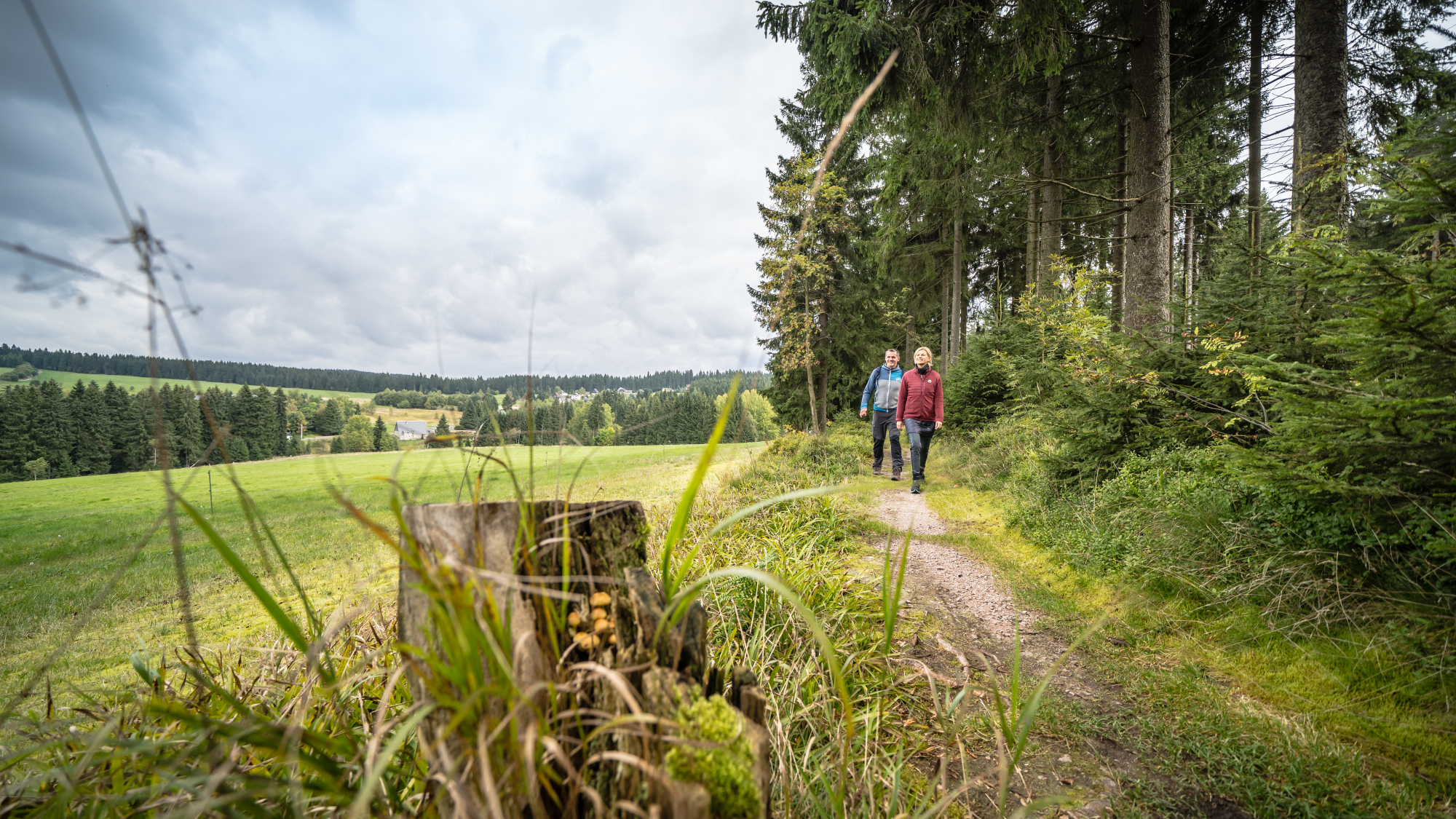 Kammweg Erzgebirge Vogtland