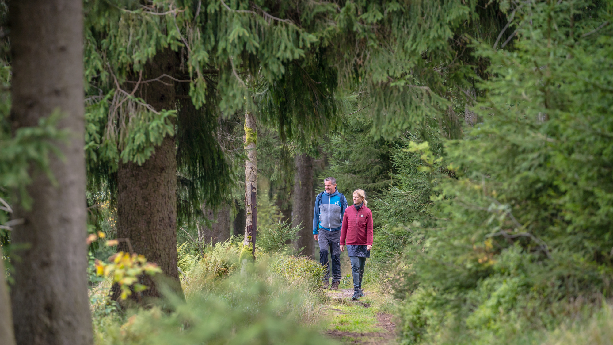 Unterwegs auf dem Kammweg