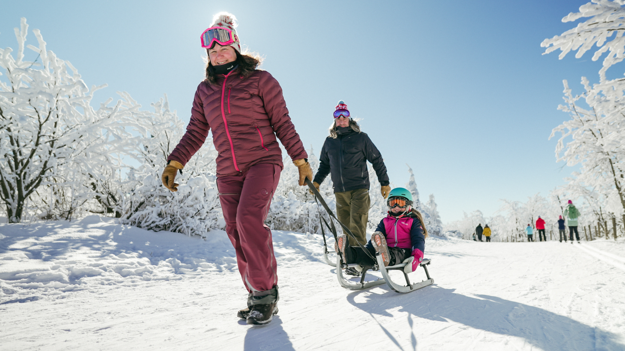 Ski- und Wandergebiet Oberwiesenthal: Auf zur längsten Naturrodelbahn im Erzgebirge