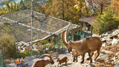 Alpenzoo Innsbruck