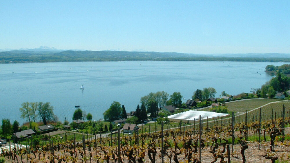 Blick auf den Murtensee