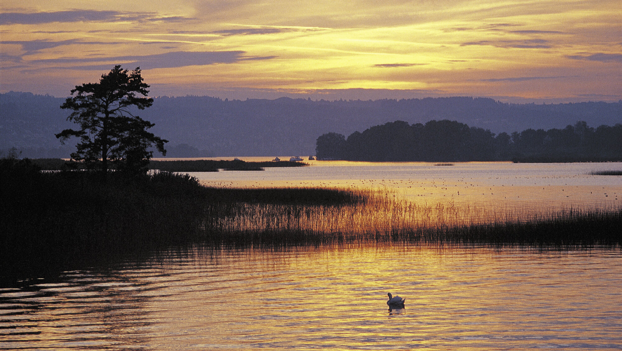 Abendstimmung am Zürichsee