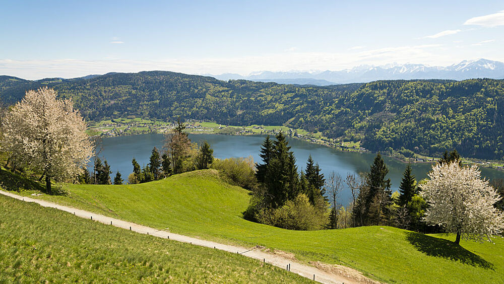 Blick auf den Ossiacher See