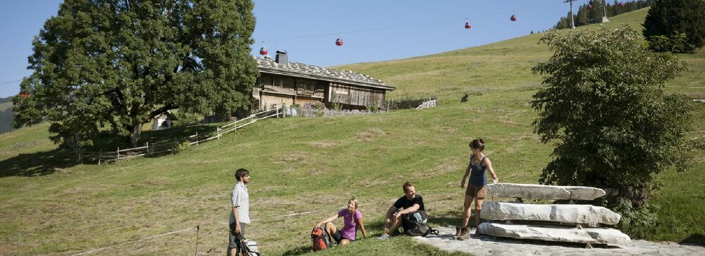 Tiroler Sommer-Bergbahnen erleben
