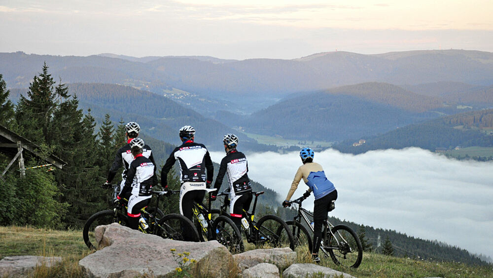 Fünf Biker blicken in die Landschaft des Hochschwarzwaldes