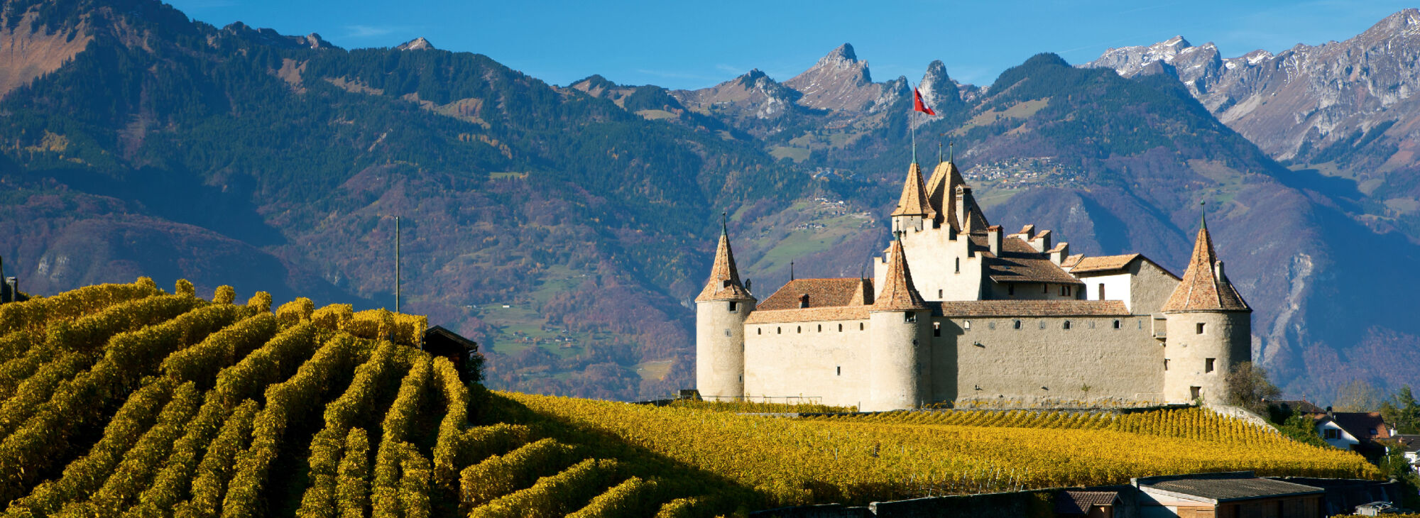 Schloss Aigle