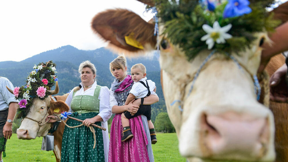 Feiern bei den Bauernwochen