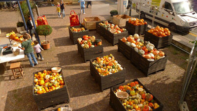 Der kulinarische Genuss ist auf jeden Fall garantiert