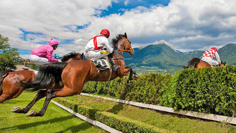 Anspruchsvolle Hindernisse liegen vor den Reitern