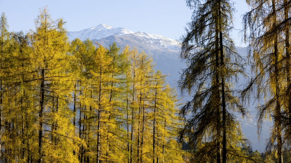 Herbstlandschaft Innsbruck